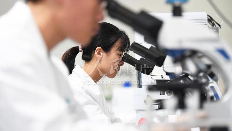 生物医药外包服务的价格构成揭秘**