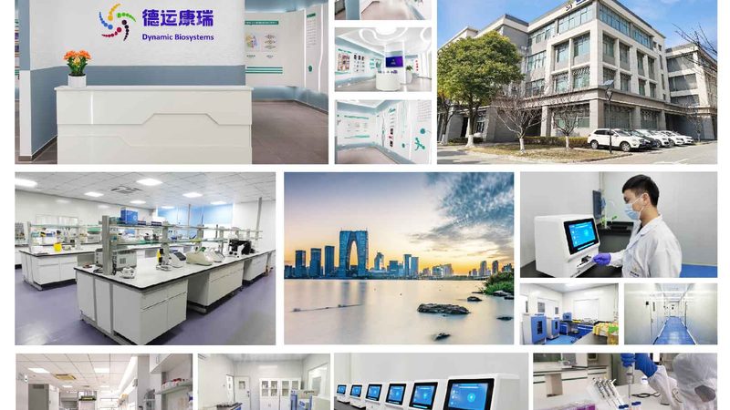 引物甲基化修饰：揭示精准医疗的“金钥匙”**