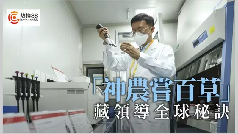 细胞培养实验方案：构建高效科研的基石**