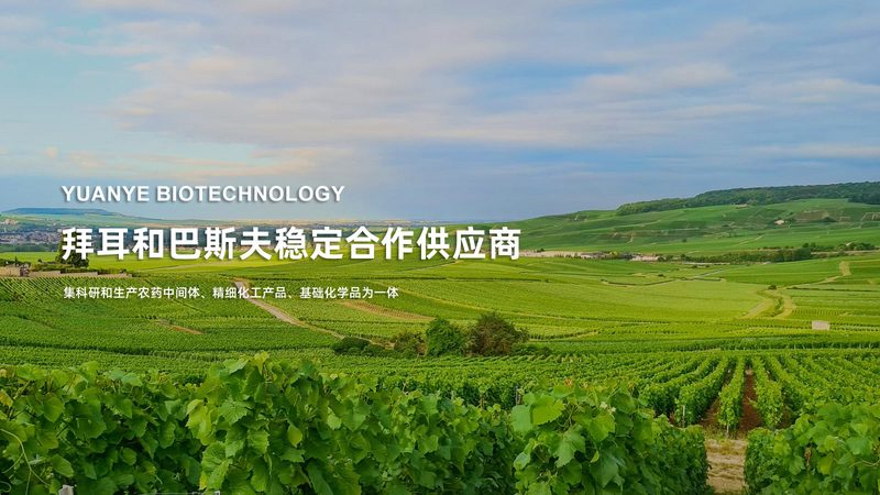 如何选择靠谱的上海移液器代理？**