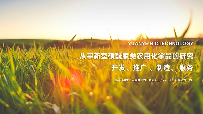创新药CDMO：揭秘其背后的产业生态与未来趋势