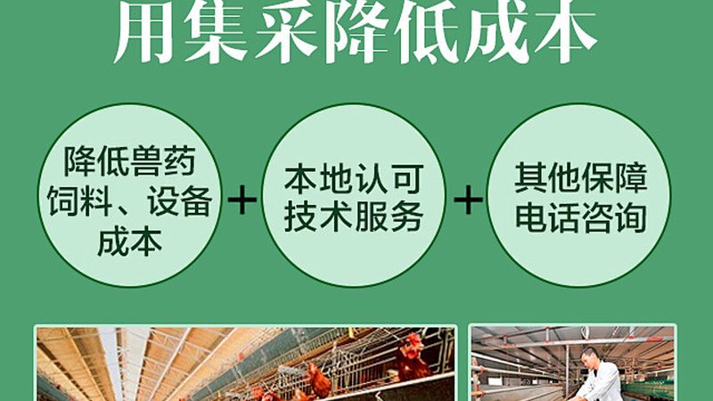 低温离心管：揭秘其与普通离心管的五大差异**