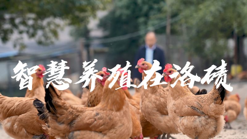 GMP认证不是终点，而是血液制品安全的起点